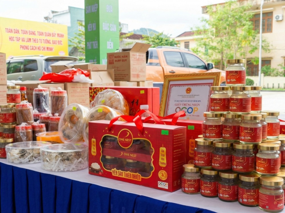 Hình ảnh tiêu biểu 2